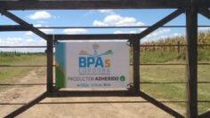 BPAs