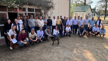 Esp. Forrajero – Cluster de alfalfa (1)