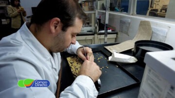 Laboratorio BCCBA (3)