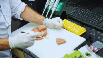 hamburguesas de bufalo