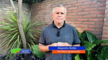 Alejandro Rollán