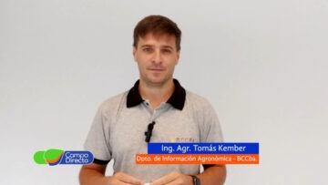 Tomás Kember