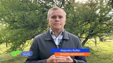 Alejandro Rollám