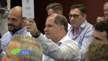 Primer lote de maíz