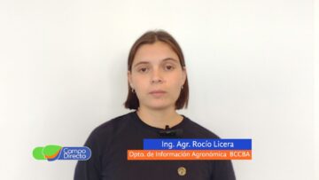 Rocío Licera