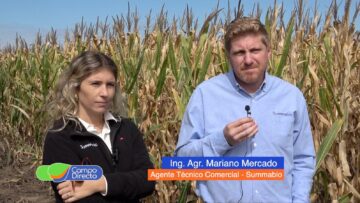 Summabio en Almafuerte