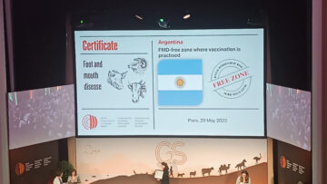 Argentina libre de aftosa