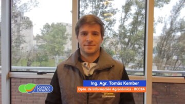 Tomás Kember