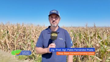 agricultura regenerativa