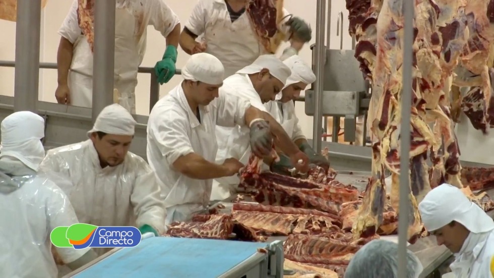 Exportaciones de carne