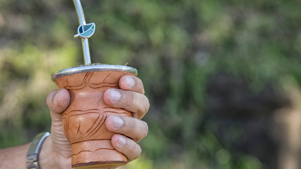 yerba mate