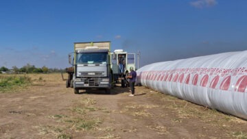 picado – forrajes 2