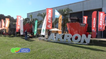 Akron