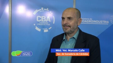 Marcelo Calle