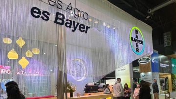 Bayer (1)