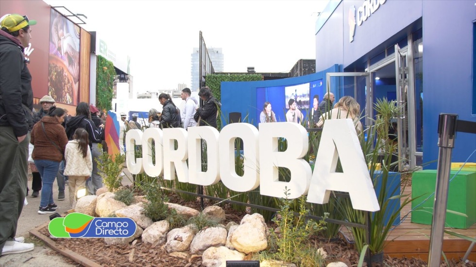 Córdoba – Palermo