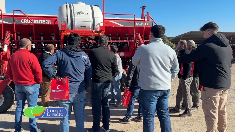 Crucianelli – copia