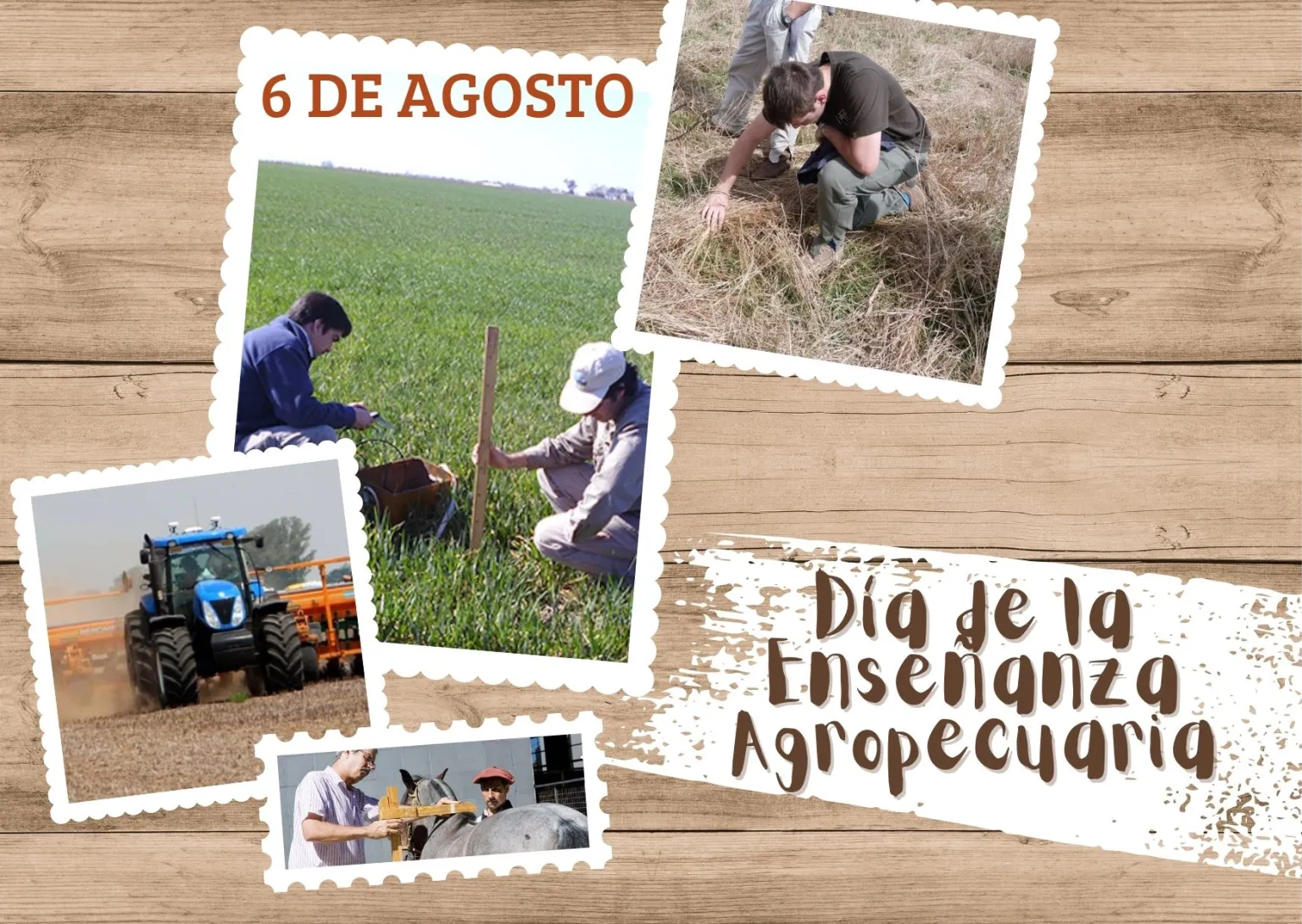 Enseñanza Agropecuaria