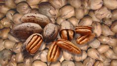nuez pecan 2