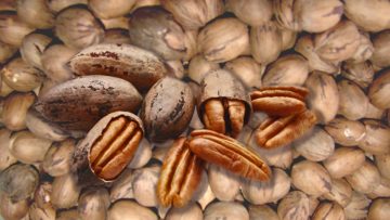 nuez pecan 2