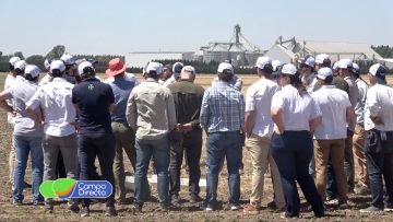 Bayer ForwardFarming