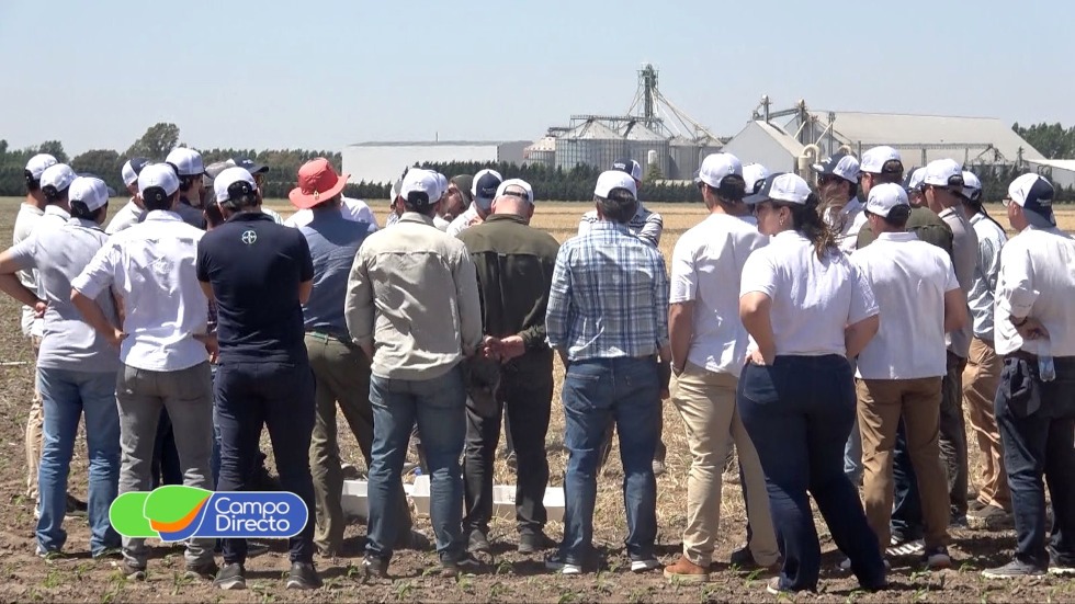 Bayer ForwardFarming