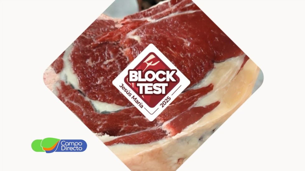 Block test