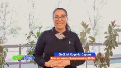 María Eugenia Capone