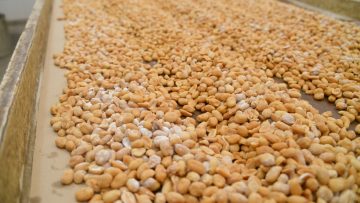 CREATOR: gd-jpeg v1.0 (using IJG JPEG v62), quality = 90