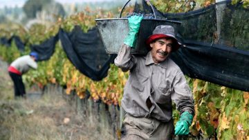 trabajadores rurales 3
