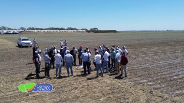 Bayer Forward Farming