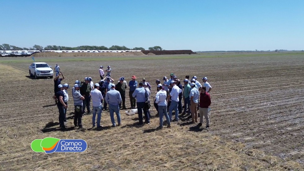 Bayer Forward Farming