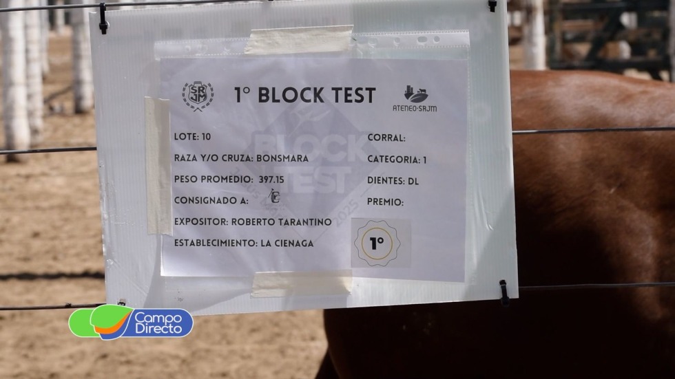 Block Test