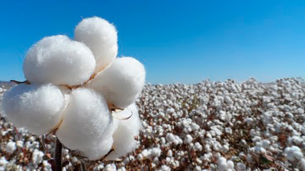 economias regionales