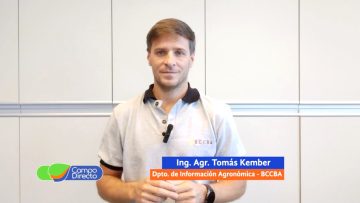 Tomás Kember