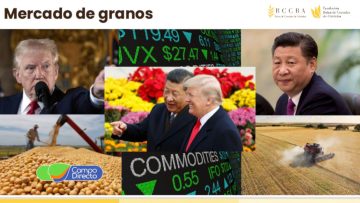 contexto internacional en los precios de los granos