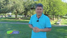 WhatsApp Image 2026-01-02 at 17.21.23