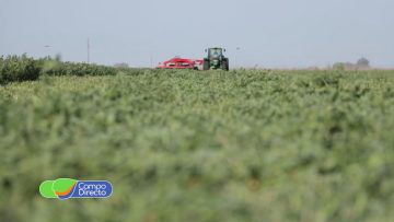 WhatsApp Image 2026-01-02 at 17.21.27 (2)