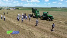 WhatsApp Image 2026-01-02 at 17.21.29 (3)