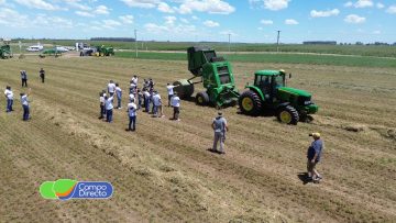 WhatsApp Image 2026-01-02 at 17.21.29 (3)