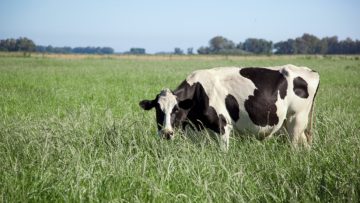 CREATOR: gd-jpeg v1.0 (using IJG JPEG v62), quality = 90