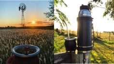 Branding rural silencioso