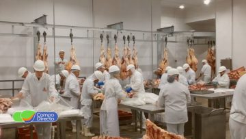 exportacon de canres