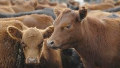 CREATOR: gd-jpeg v1.0 (using IJG JPEG v62), quality = 90