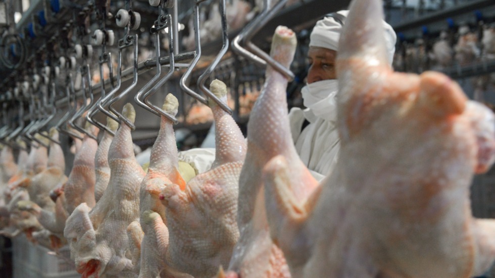 mercado de carne aviar