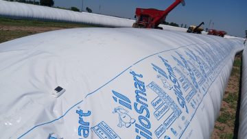 silobolsa inteligente