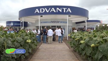 Advanta