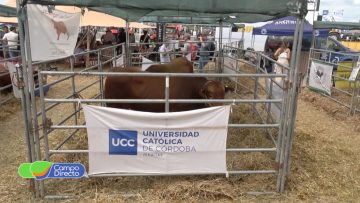 UCC en Expoagro (1)