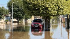 CREATOR: gd-jpeg v1.0 (using IJG JPEG v62), quality = 82