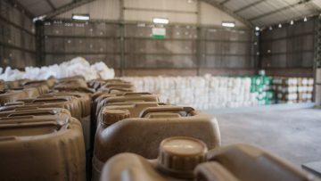 Envases Vacíos de Fitosanitarios (1)